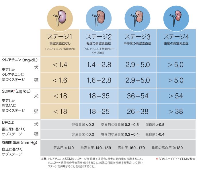 慢性腎障害のステージ