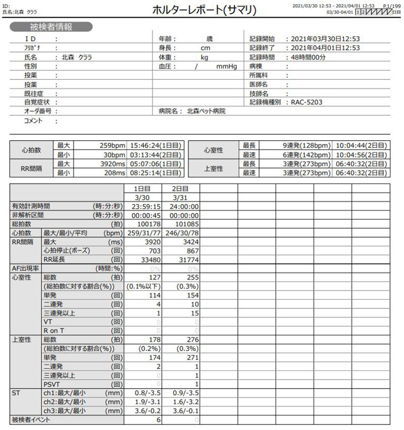 ホルター心電図検査報告書