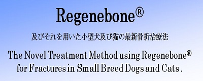 日本発の最新骨折治療法